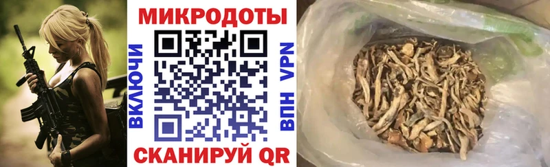 Псилоцибиновые грибы Psilocybine cubensis  Лыткарино 